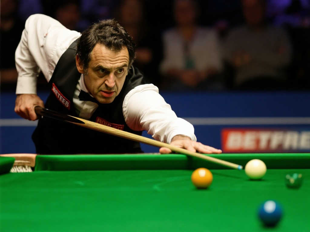 置和设施条 置和设施条