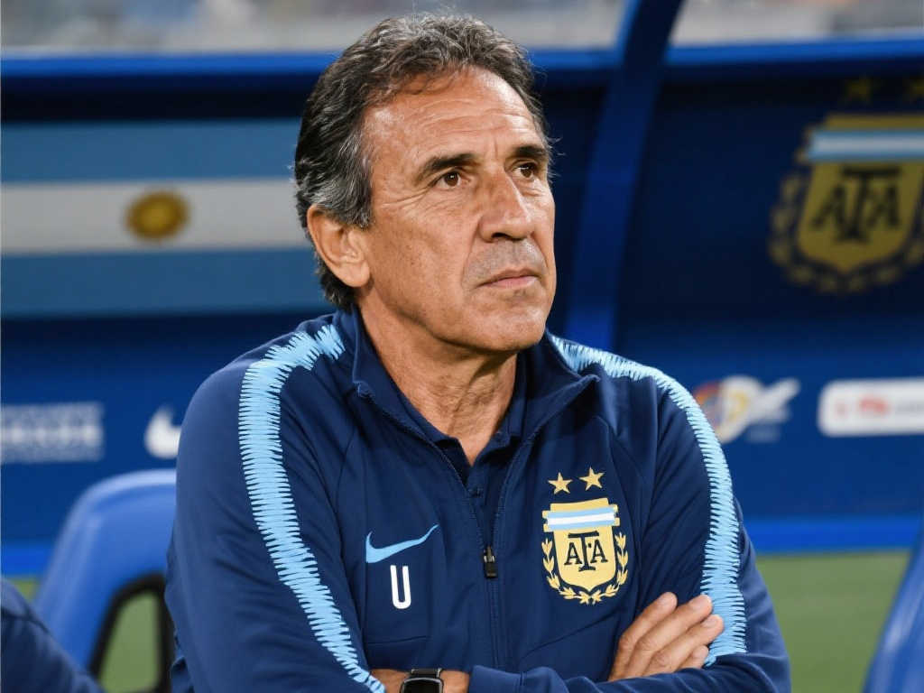 专注细化泳 专注细化泳